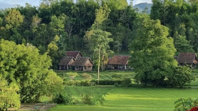 Kebun Mawar Situhapa, Rekomendasi Hidden Gem Garut, Serasa Seperti di Luar Negeri