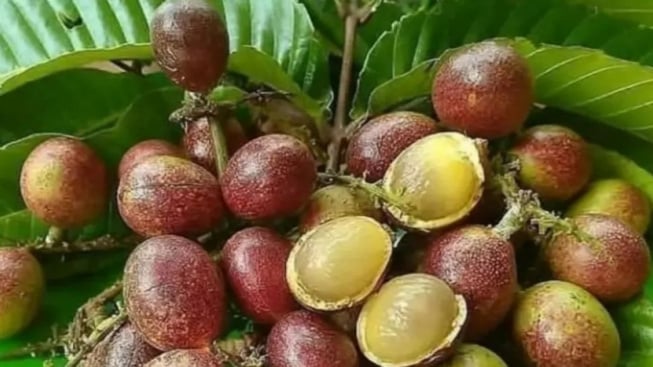 8 Manfaat Buah Matoa Bagi Kesehatan, Ternyata Bisa Menyehatkan Mata