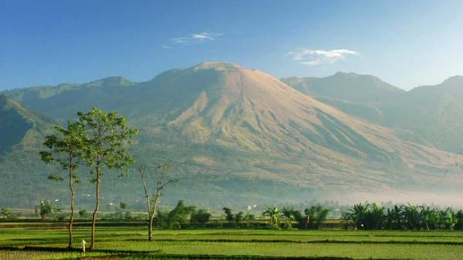 Punya 2,6 Juta Penduduk, Ini 5 Kecamatan Terpadat di Kabupaten Garut