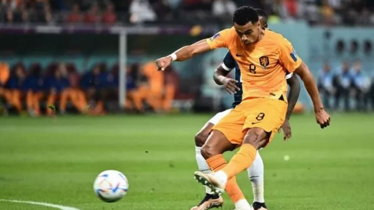 Striker timnas Belanda Cody Gakpo [(Image: AFP)]