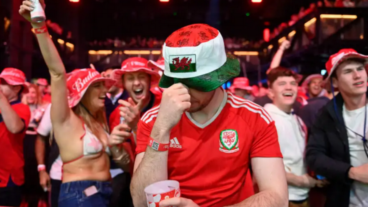 Pendukung Wales [The Sun]