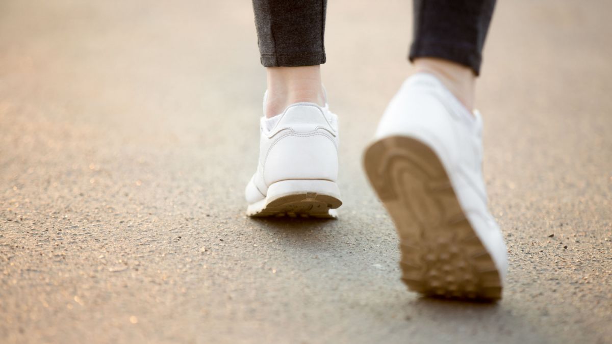 Pemandangan gunung Merapi dari Bunker Kaliadem. [Indotnesia]