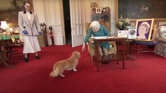 Berpisah untuk Selamanya, Bagaimana Nasib Anjing Corgi Kesayangan Ratu Elizabeth II?