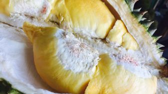 4 Mitos tentang Durian yang Salah Kaprah, Salah Satunya Bikin Kolesterol Naik