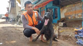 Walet, Sosok Anjing Pelacak yang Temukan 10 Korban Gempa Cianjur