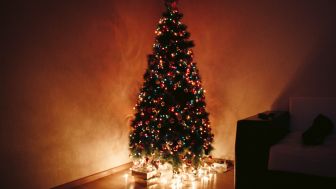 Sejarah Singkat Pohon Natal, Tradisi "Pohon Surga" dari Jerman yang Mendunia