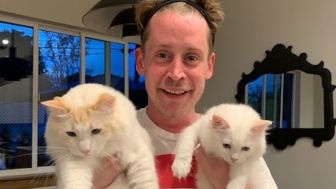 Profil Macaulay Culkin, Bintang Film Home Alone yang Kini Berusia 42 Tahun