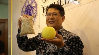 Hikapel, Melon Seukuran Apel Hasil Penelitian UGM yang Praktis Tapi Tetap Manis