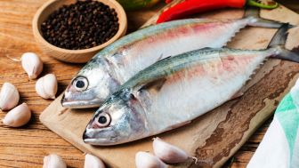 Murah dan Bergizi, Berikut Manfaat Ikan Kembung Bagi Kesehatan