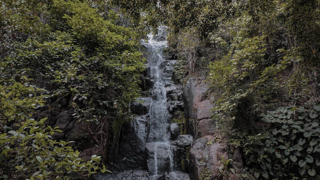 5 Rekomendasi Wisata Air Terjun di Jawa Tengah yang Asyik untuk Healing