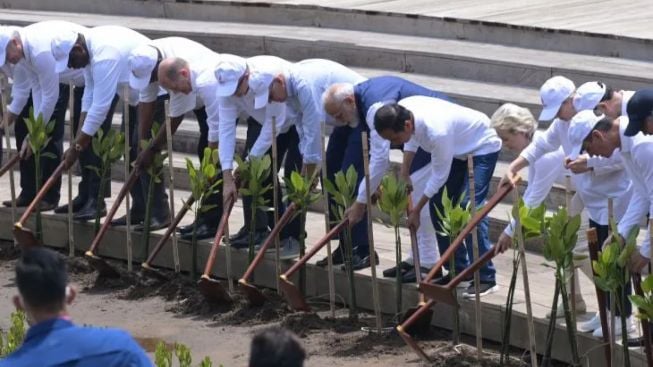 Begini Komentar Warganet Soal Jokowi Ajak Pimpinan G20 Menanam Mangrove di Bali