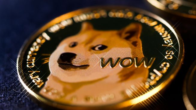 Kabosu, Anjing Meme yang Jadi Wajah Kripto Dogecoin Terjangkit Kanker