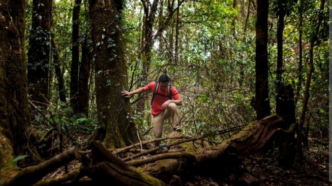 Tips Bertahan Hidup Di Hutan yang Perlu Diketahui