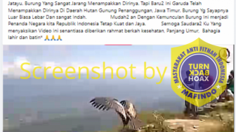 CEK FAKTA Kemunculan Burung Garuda di Gunung Penanggungan Jawa Timur