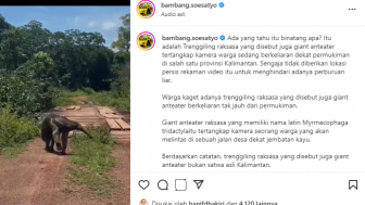 Jadi Sorotan Warganet, Ketua MPR RI Bambang Soesatyo Bagikan Video Hoaks?