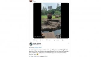 Pamer Singa di Solo Safari, Gibran dapat Komentar Negatif dari Netizen: Semacam Jebakan Batman Guys