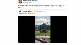 Kocak! Pengunjung Rekam Singa di Solo Safari Saat Kawin, Respon Gibran: Mohon Maaf Ya Pak