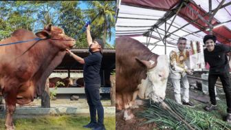 4 Artis yang Pernah Beli Sapi Jumbo untuk Berkurban