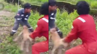 Viral Dua Pemuda Lempar Anjing ke Kolam Isi Buaya, Warganet Geram