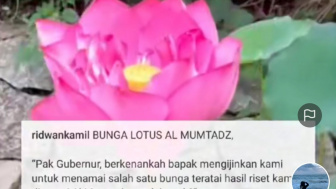 Warga China Abadikan Nama Putra Ridwan Kamil dengan Bunga Lotus Cantik Temuannya