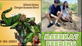 4 Hal Menarik di Solo Safari, Andalan Gibran Rakabuming Liburan Ajak Keluarga