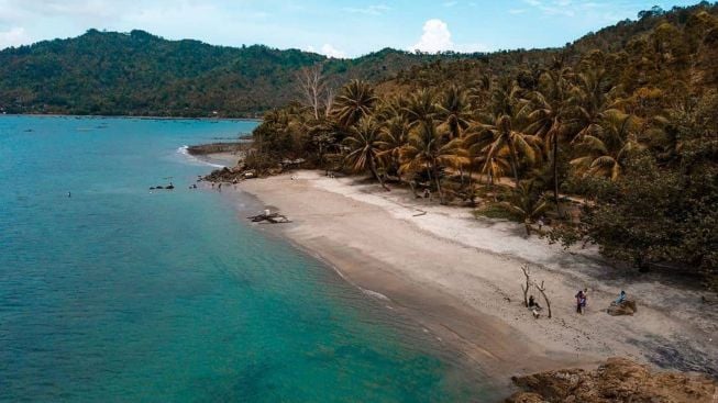 Pantai di Trenggalek. Cocok Buat Piknik Bareng Keluarga