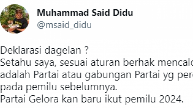 Partai Gelora Resmi Usung Anis Matta dan Fahri Hamzah Sebagai Capres dan Cawapres, Said Didu: Deklarasi Dagelan?