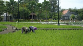 Kesiapan Masyarakat Hadapi Fenomena Alam Tidak Sama, Disparitas Antarwilayah Jadi Tantangan