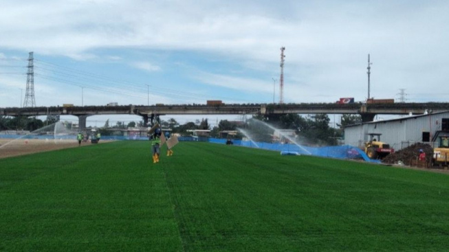 Loyalis Ganjar Soal Digantinya Rumput JIS: Sayang Anggaran Lima Triliun...