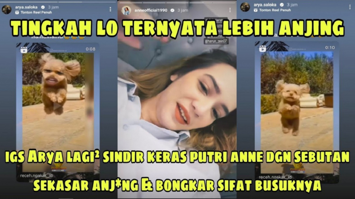 Thumbnail video menarasikan seolah Arya Saloka sindir keras Putri Anne. [YouTube]