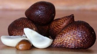 5 Manfaat Biji Salak bagi Kesehatan, Salah Satunya Dapat Turunkan Risiko Diabetes