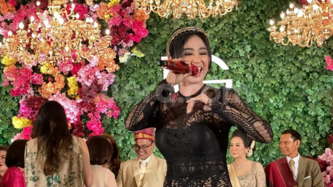 Nyanyi di Nikahan Anak Hotman Paris, Goyang Dewi Perssik Dianggap Porno