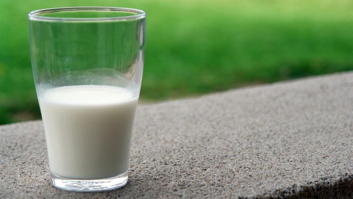 Ilustrasi susu, salah satu sumber kalori, gizi. [Pexels]