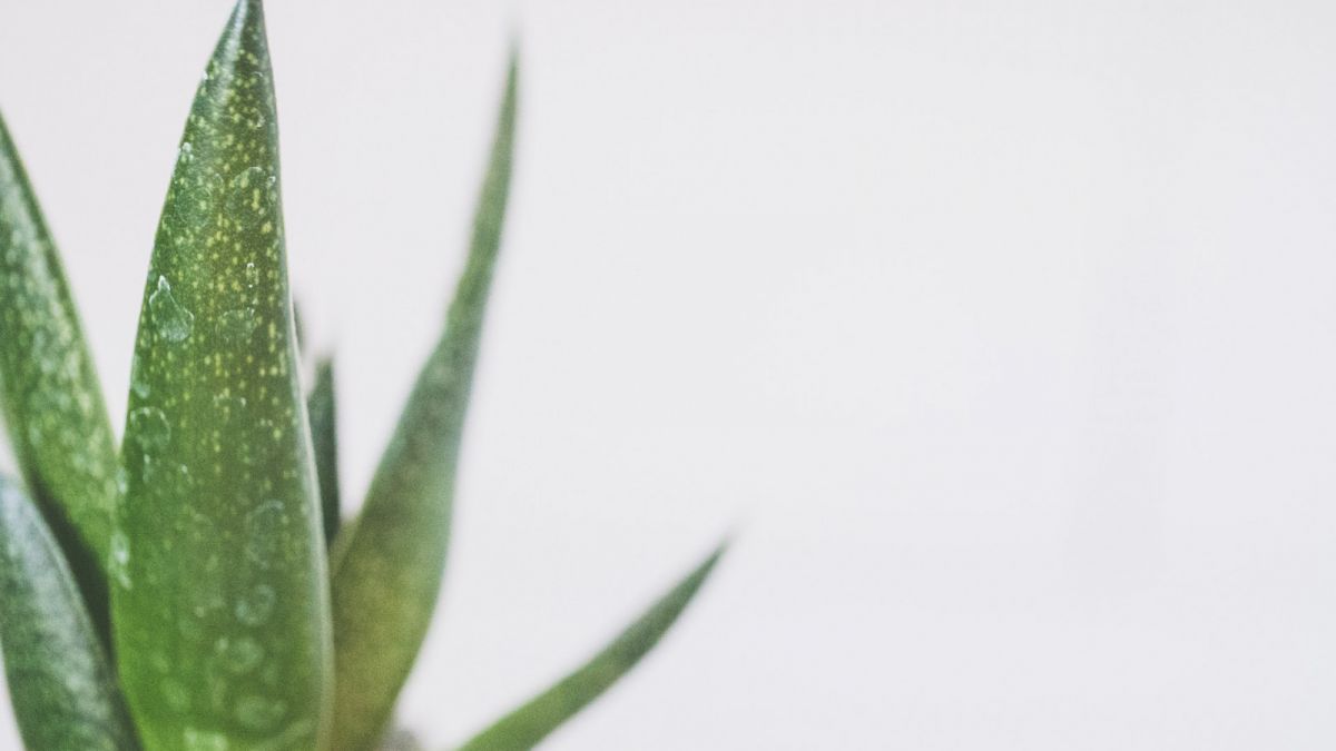 Kulit Mengalami Luka Bakar [Pexels]