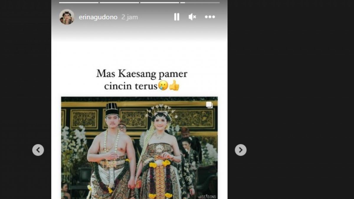 Unggahan Instastory Erina Gudono [Instagram Erina Gudono]