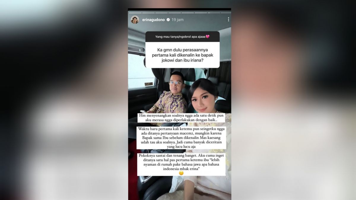 Instagram Stories Erina Gudono (Instagram  Erina Gudono)