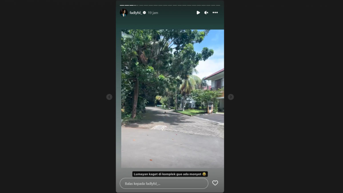 Monyet di komplek rumah Fadly Faisal [instagram/fadlyfsl_]