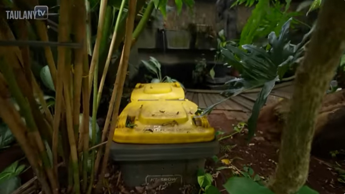 Rumah Dwi Sasono [(YouTube)]