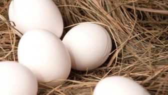 Buat Kesehatan Kita Semua Nih, Simak 7 Manfaat Telur Ayam Kampung