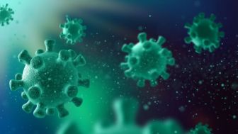 Puluhan Orang Terindikasi Suspek Wabah  Anthrax di Gunung Kidul, Virus Apa Ini?