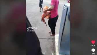 Bikin Pecinta Penyetan Full Senyum, Viral Pria Mancing Dapat Cumi-cumi Segede Guling