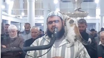 Viral Video Kucing Lompat ke Pundak Imam Saat Salat Tarawih, Baru Turun Setelah Cium Pipi
