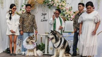Dinas Kebudayaan DIY Sayangkan Pernikahan Anjing Gunakan Adat Jawa: Kodratnya Berbeda
