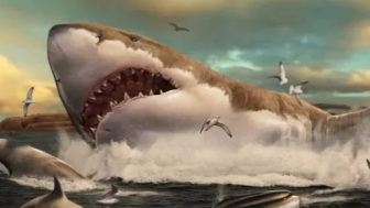 Bentuknya Menyeramkan, Ini Fakta Hiu Megalodon yang Tayang di Film Meg 2: The Trench