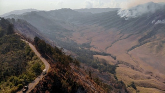 Kebakaran di Bukit Teletubbies Meluas, Kawasan Gunung Bromo Ditutup Total