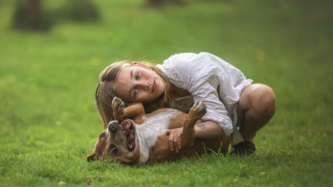 8 Binatang Peliharaan Yang Aman Bagi Anak, Mengajarkan Anak Untuk Menyayangi Binatang
