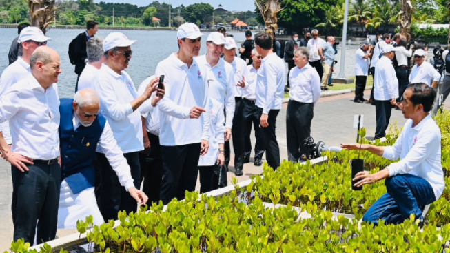 'Amanah Sekjen PBB Menantimu Presidenku' Jhon Sitorus Puji Gaya Blusukan Jokowi Saat Tanam Mangrove, Netizen Tepuk Jidat!