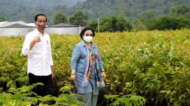 Gibran 'Diramal' Bakal Calonkan Diri Jadi Gubernur Jateng, Jokowi Tak Akan Berani Lawan Megawati, Mengapa?