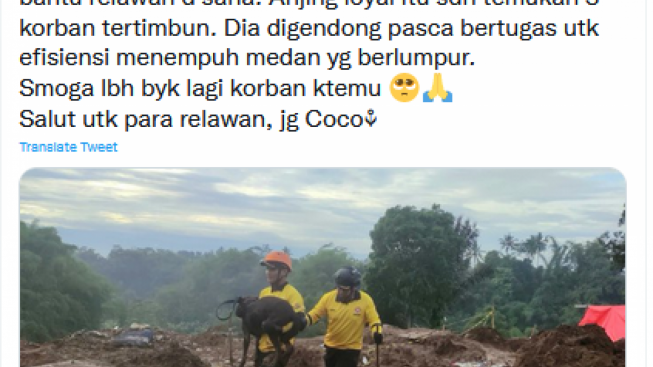 Viral Kisah Coco, Anjing Labrador yang Bantu Relawan Gempa Cianjur: Sudah Temukan 3 Korban Tertimbun