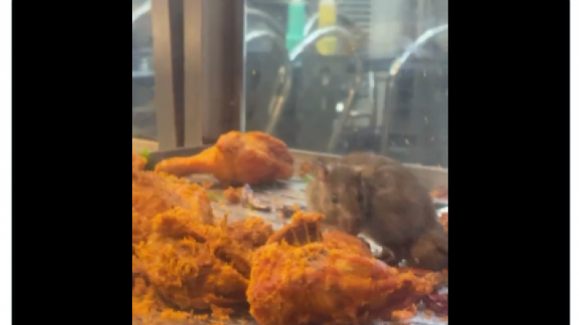 Viral Tikus Makan Ayam Goreng di Etalase, Kedai di Kuala Lumpur Ini Langsung Ditutup